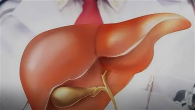 الكبد الدهني.. 7 خطوات تساعد على الوقاية منه