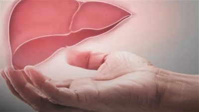 فحص الكبد في المنزل.. 8 طرق للاطمئنان على صحته