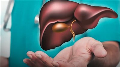 فحص الكبد في المنزل.. 8 طرق للاطمئنان على صحته