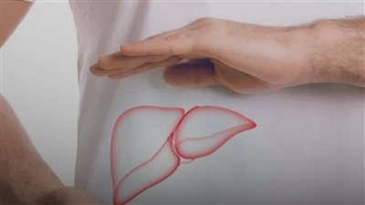 اختبار الكبد في المنزل.. 6 مؤشرات تساعدك على متابعة صحته
