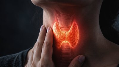 أفضل نظام غذائي لقصور الغدة الدرقية.. 6 أطعمة ضرورية